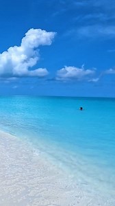 330K views · 2.2K reactions |  Let the rhythm of the blue waves...