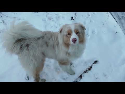 11 Flat-Roof Greenhouse Build Update #3 | Plastic Strength, HALS Safety, Costs & Heating Systems