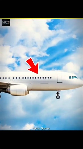 Why Airplane Windows Are Always Round 😱 #facts #shorts