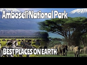 Amboseli National Park: A Journey to Africa’s Iconic Elephant Sanctuary! 🐘🌅