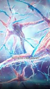 What Happens When PM2.5 Enters Your Brain? | Jayasim Jayakumar | #shorts