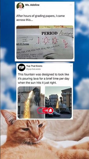 grading their own paper😂 Memes that slap 👉 SUBSCRIBE #meme #trending #funny #best #viral #relatable