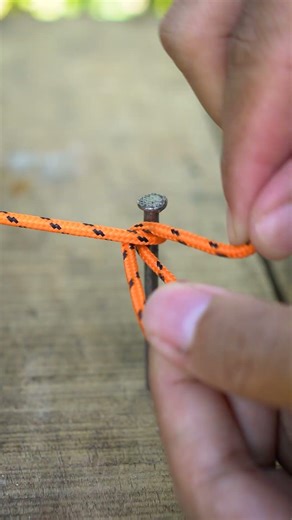 The Strongest Knot That Never Slips! (Constrictor Knot)