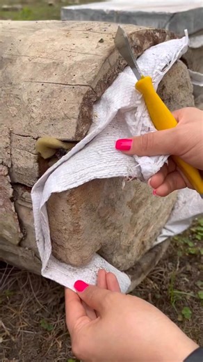 Wild raw honey 🐝💛 🐝 𗐽𗐊🐝🐝 🐝🐝🐝 🐝🐝🐝🐝 🐝🐝🐝🐝🐝 🐝🐝🐝🐝🐝🐝 🐝🐝🐝🐝🐝🐝🐝 🐝🐝🐝🐝🐝🐝🐝🐝 🐝🐝🐝🐝🐝🐝🐝🐝🐝 #canadianapiary #canadianbeekeeper #beekeeping #bees #honey #beekeeper #savethebees #honeybee #apiary #nature #apiculture #beesofinstagram #beehive #honeybees #hive #beelife #beekeepers #candles #pollen #beewax #farmanimals #newhobby #beehive #farmer #urbanbeekeeping #urbanbeekeeper | Canadian Beekeeper