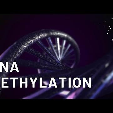 Introduction to DNA Methylation