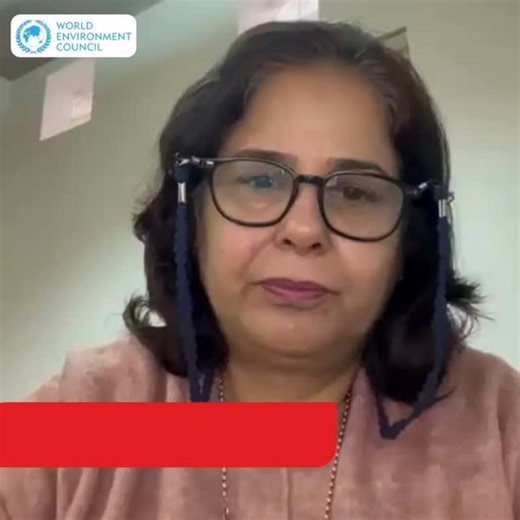 WORLD ENVIRONMENT COUNCIL on Instagram: "🌱 𝗚𝗿𝗲𝗲𝗻 𝗘𝗱𝘂𝗰𝗮𝘁𝗶𝗼𝗻 & 𝗔𝘄𝗮𝗿𝗲𝗻𝗲𝘀𝘀 𝗔𝘄𝗮𝗿𝗱𝗲𝗲 - 𝗪𝗼𝗿𝗹𝗱 𝗘𝗻𝘃𝗶𝗿𝗼𝗻𝗺𝗲𝗻𝘁 𝗖𝗼ᵠ