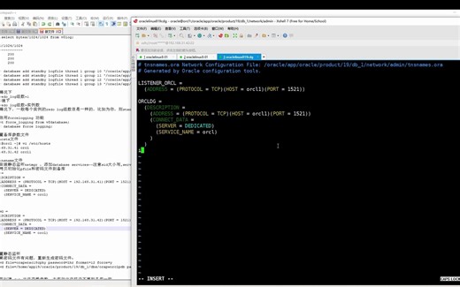 linux8中搭建oracle 19c dg