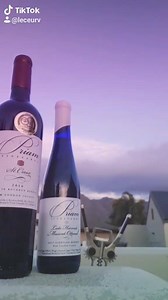 Your corkscrew is saying- Grab your favorite Priam Wine and let's GO !!! https://www.priam-vineyards.com/best-wine-tasting-connecticut #ctlocal #ctwinetrail21 #bevveg #vegan #veganworld #ctlocalwine #CT #connecticutwine #fallwine #usa #connecticutgram #tiktok #corkscrew | Priam Vineyards