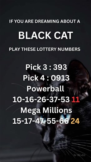 109K views · 925 reactions | If you are dreaming about a Black Cat, play these lucky lottery numbers. | Lottery Predictor | Facebook