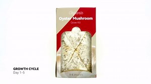 inbloom Organic Oyster Mushroom Growing Kit with Spray, Harvest Fresh Mushrooms at Home, Beginner Friendly & Easy to Use, Unique Gardening Gift for Holiday, Handmade in New Jersey, USA