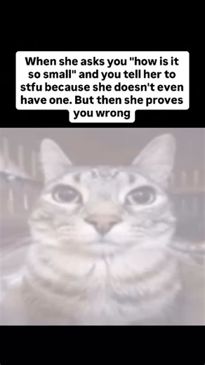 @Magmar on Instagram