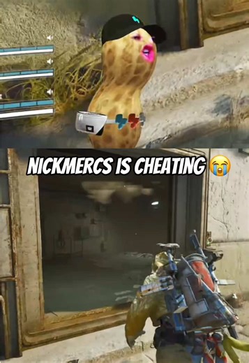 Peanut's Hilarious Moments That Will Make You Laugh