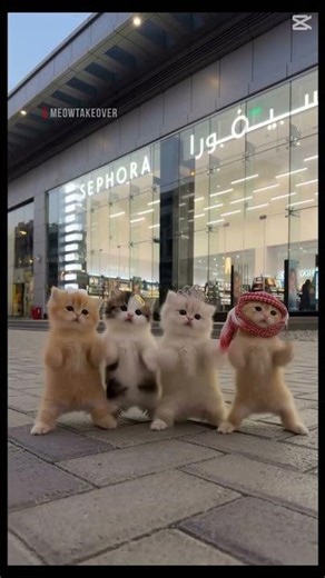 Kitty dancing to Coco Chanel ￼