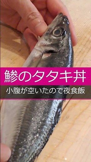 【鯵のタタキ丼】小腹が空いたので夜食飯 味噌タタキ なめろう