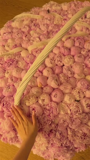 Peonies pink care tips: Why these peonies look so pretty
