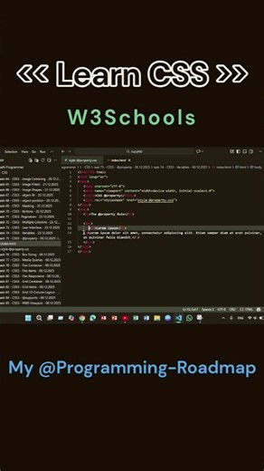 Learn CSS - W3Schools #programming #webdevelopment #css #learncss