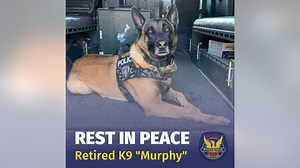 Phoenix Police K9 Officer 'Murphy' passes away after nearly a decade of service