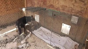 24K views · 1.5K reactions | Tomorrow morning on an all new episode...