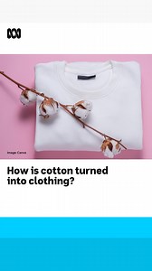 How does cotton make it to your clothing?👕🧶 It’s quite a process from growing it on farm to turning it into thread or fabric for clothes. Rural Reporter Megan Hughes explains. Subscribe to our ABC Rural newsletters: ab.co/3J7EGSM 🎥Megan Hughes via ABC Capricornia #ABCRural | ABC Rural