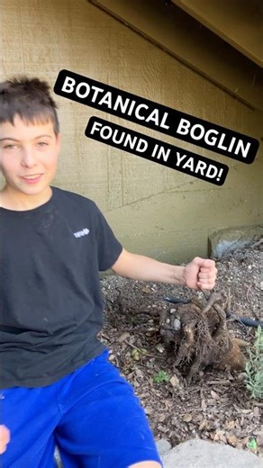 Boglin Found In Yard! Never Before Seen By Humans! #boglins #botanical