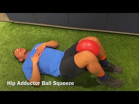 Hip Adductor Ball Squeeze