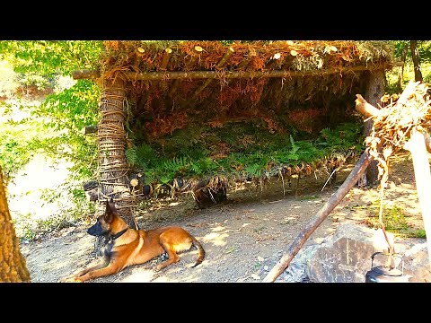 BUILD PRIMITIVE BUSHCRAFT SHELTER with VINES, WILD CAMPING, PRIMITIVE TECHNOLOGY