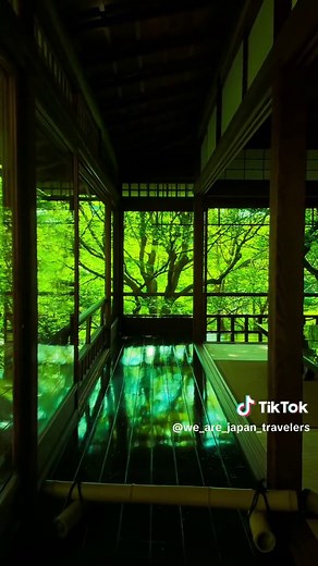 瑠璃光院の夏の絶景