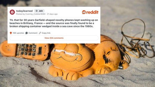 25 Quick Facts To Learn Something New This Lunch Hour