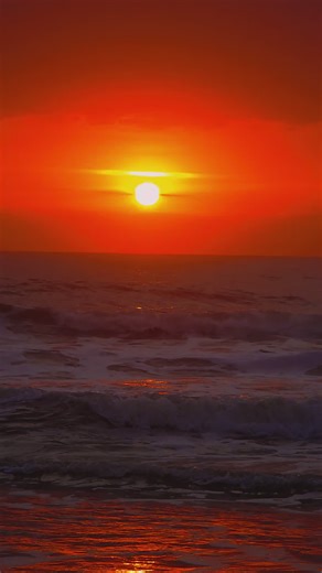Baby Blue Eyes 🐳🌊🐬🌞 (@baby.blue.eyes.3737)’s videos with Red Red Wine - UB40
