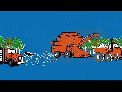 Reaching Net Zero: Does BECCS work?