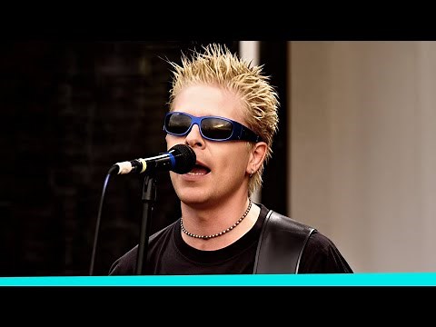 The Offspring - Why Don't You Get A Job | Live at Woodstock '99 East Stage (1999)
