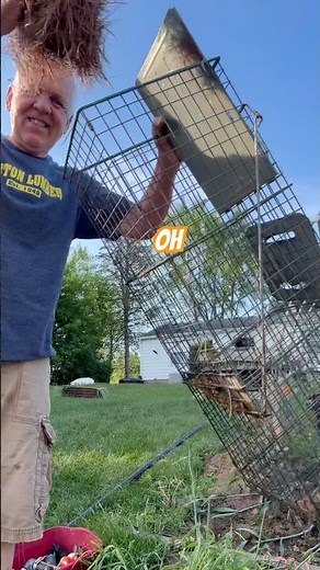 Best Rabbit Bait ( Live Trap)
