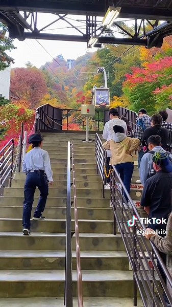 Mount Fuji Panoramic Ropeway Experience in Kawaguchiko