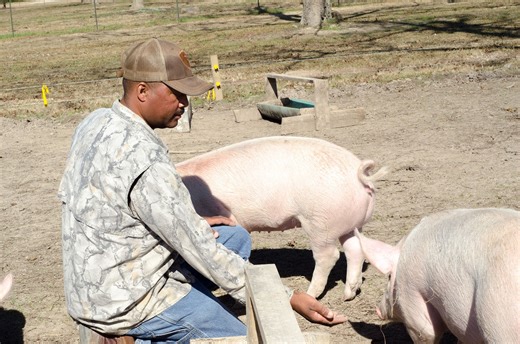 Black farmers face uphill battle amid policy shifts and funding cuts | AGDAILY