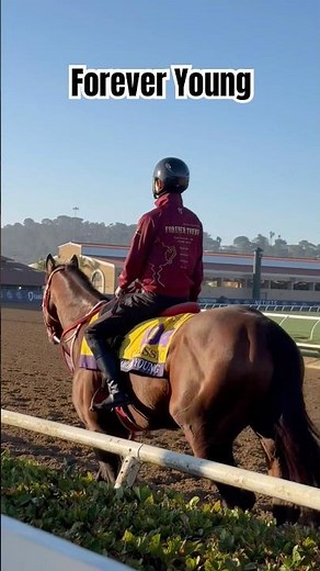 Japanese Horse of the Year 🇯🇵 Forever Young