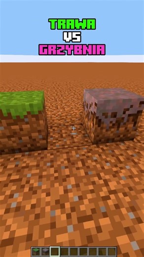 Minecraft Trawa Moment #minecraft #shorts