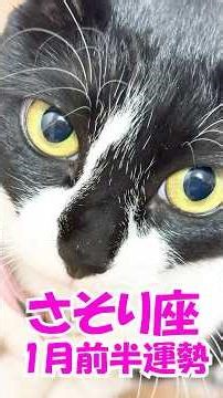 【♏さそり座】探求心と楽観が道をひらく。新年、密かな前進のとき#shorts #占い #タロット #開運 #星座 #蠍座