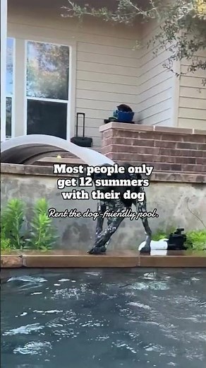 A little advice- rent the dog-friendly pool You won’t regret spending quality time with your dogs