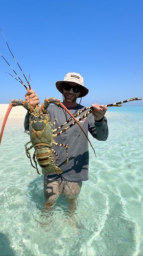 Fire up the BBQ!🔥 The full B2B range has just been restocked, all the favorites sold out pre Xmas last year so get in quick 🤙 | Back 2 Basics Adventures