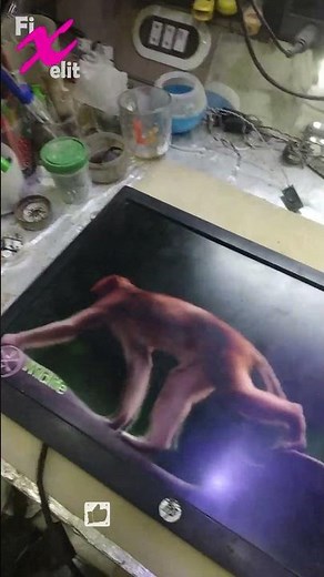 HP Monitor 23" ProDisplay 201 - No Signal Check Cable !!!.