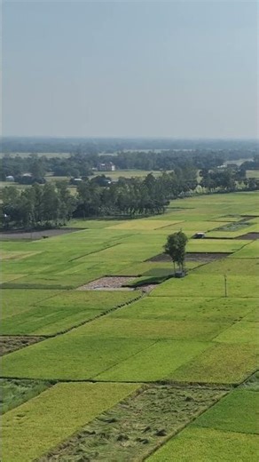 3.5MB to 269KB on Aerial Drone Footage. VMAF 99.97. | MForja