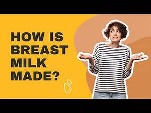 Everything You Need to Know About How to Make Breast Milk