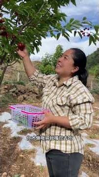 Discover the Serenity of Rural Life: A Journey into the Mountains