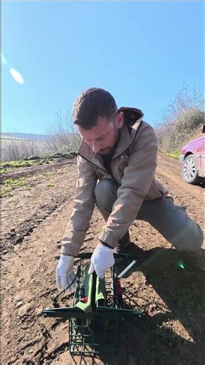 How to put a bird in a bird launcher #hunting #setter #mountains #nature