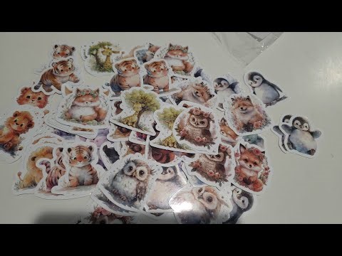 Cute Animal stickers review