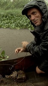 589K views · 8.5K reactions | Jeremy Wade catches 3 fish in heavy rain #rivermonsters #fishing #JeremyWade | River Monsters Global | Facebook