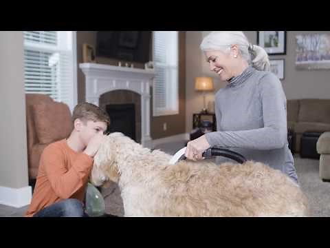 How to use BARKBATH™ Portable Dog Bath | BISSELL