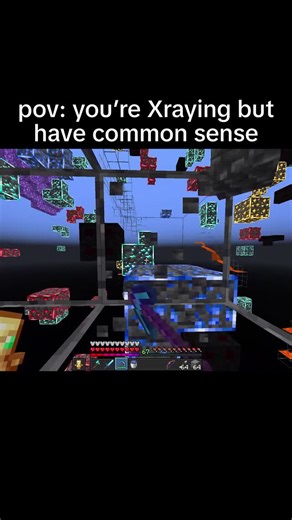 Tae on Instagram: "Xray with common sense 💔 #minecraft #minecraftmemes"