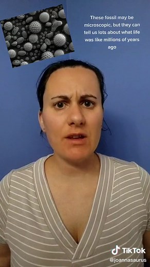 Exploring Palynology: The Study of Ancient Plant Fossils