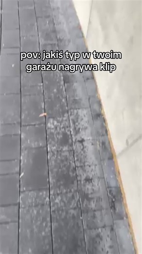 Filmy użytkownika ￼reeb (@reeb.promo) z muzyką dźwięk oryginalny - ￼reeb